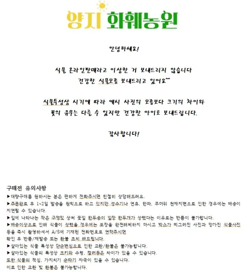 후페야 쿠페아 구피아, 보라색꽃, 외목대, 1개 판매자 안내