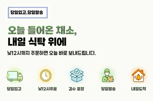 의령농산 국내산 가정용 청양고추, 2kg, 1박스 판매자 안내