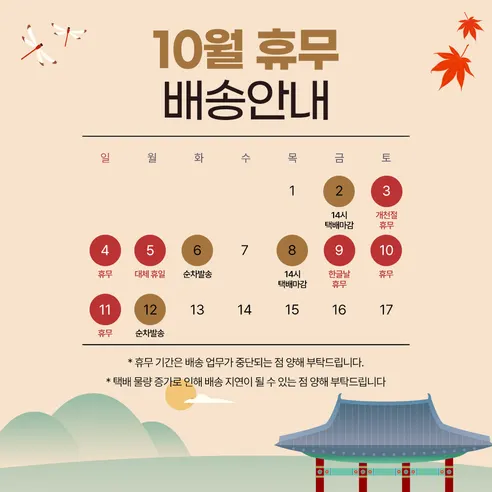 루치펠로 코랄리프 양면미세모 칫솔, 12개입, 1세트 판매자 안내