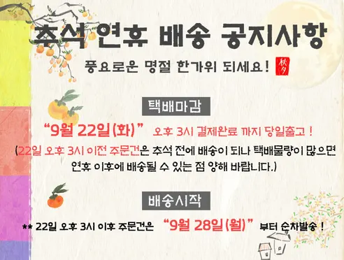 로이엘 수동식 의료용 치석제거기 세트, 5개입, 1세트 판매자 안내