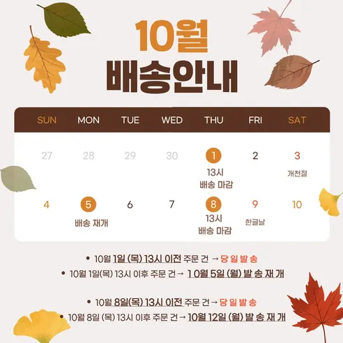 당일 수확 유러피안 상추 3-4종, 랜덤, 1kg, 1박스 판매자 안내