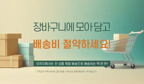 삼익 하모니카 STH-24DE, 실버, 1개 판매자 안내