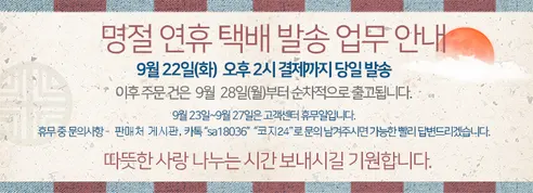 포켓몬코리아 포켓몬스터 발목양말 5족팩, 혼합, 4호, 1개 판매자 안내