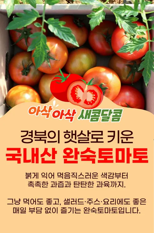 경북 완숙토마토 찰토마토, 5kg, 1박스 상세 이미지 2