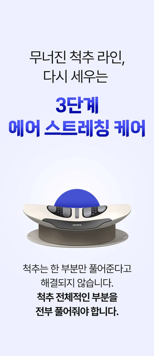 제스파 허리안 프로 마사지기 ZP5824, 1개 상세 이미지 10