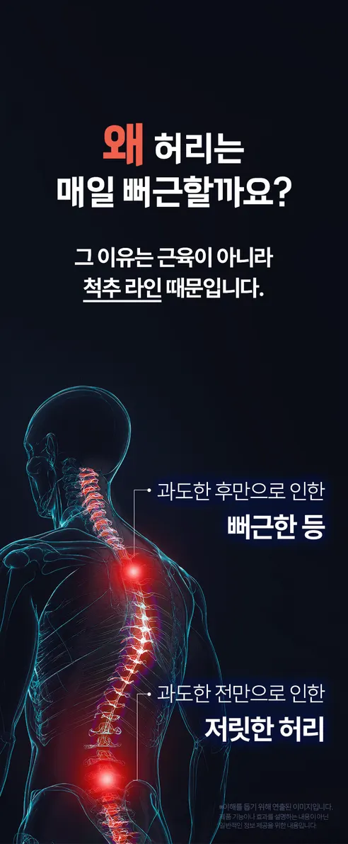 제스파 허리안 프로 마사지기 ZP5824, 1개 상세 이미지 4