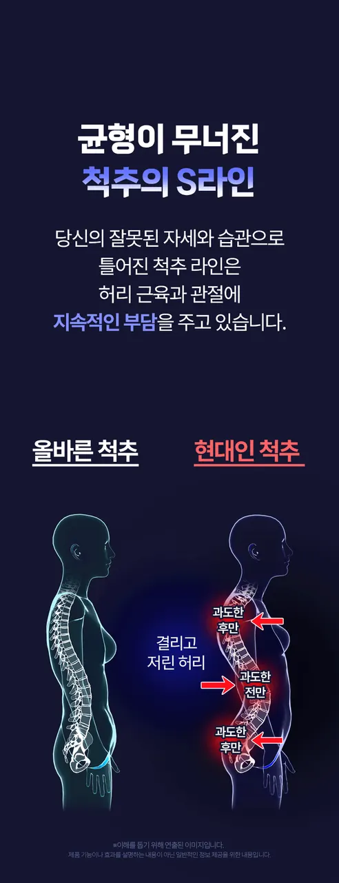 제스파 허리안 프로 마사지기 ZP5824, 1개 상세 이미지 6