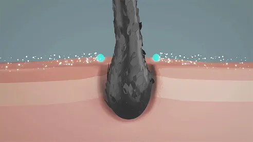 닥터방기원 랩 트리트먼트, 1L, 2개 상세 이미지 6