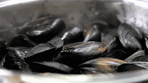 다듬피 홍합, 국내산, 통영, 5kg, 1봉 상세 이미지 7
