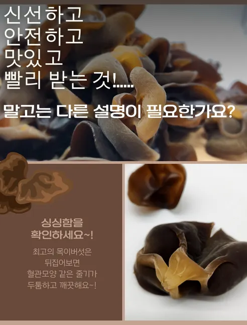 국내산 목이버섯, 무농약, 생목이버섯, 1kg, 1박스 상세 이미지 4