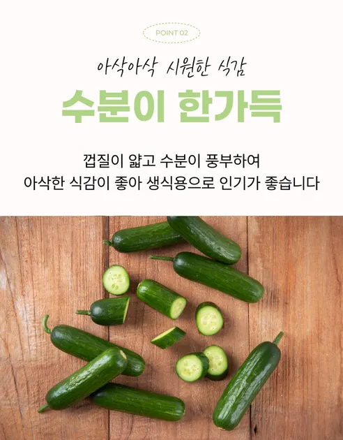 또드림마켓 미니오이, 특품, 1kg, 1박스 상세 이미지 7