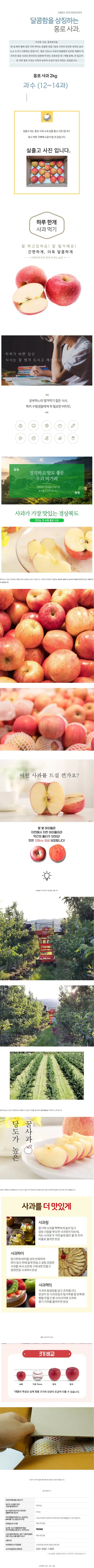 햇 빨간 홍로 사과, 소과, 2kg, 1개 상세 이미지 1