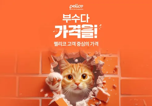 펠리코 브프캣 길고양이사료, 길냥이, 닭, 20kg, 1개 상세 이미지 1