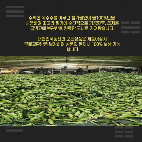 대한민국농산 햇 홍찰 찰옥수수, 특대, 2kg, 10개 상세 이미지 5