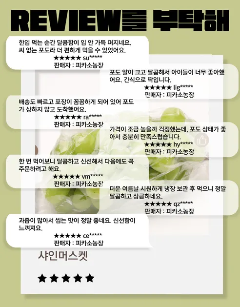피카소농장 샤인머스켓, 4-12수, 4kg, 1박스 상세 이미지 5