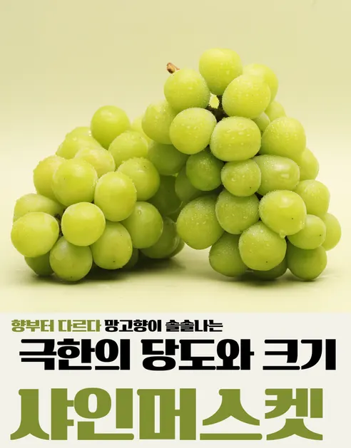 피카소농장 샤인머스켓, 4-12수, 4kg, 1박스 상세 이미지 1