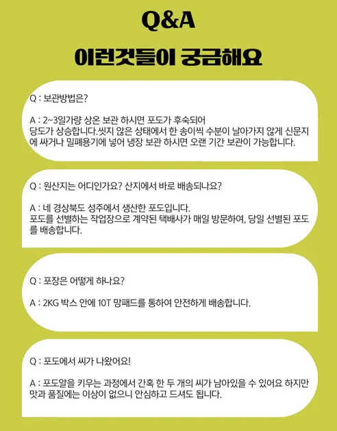 피카소농장 샤인머스켓, 4-12수, 4kg, 1박스 상세 이미지 6