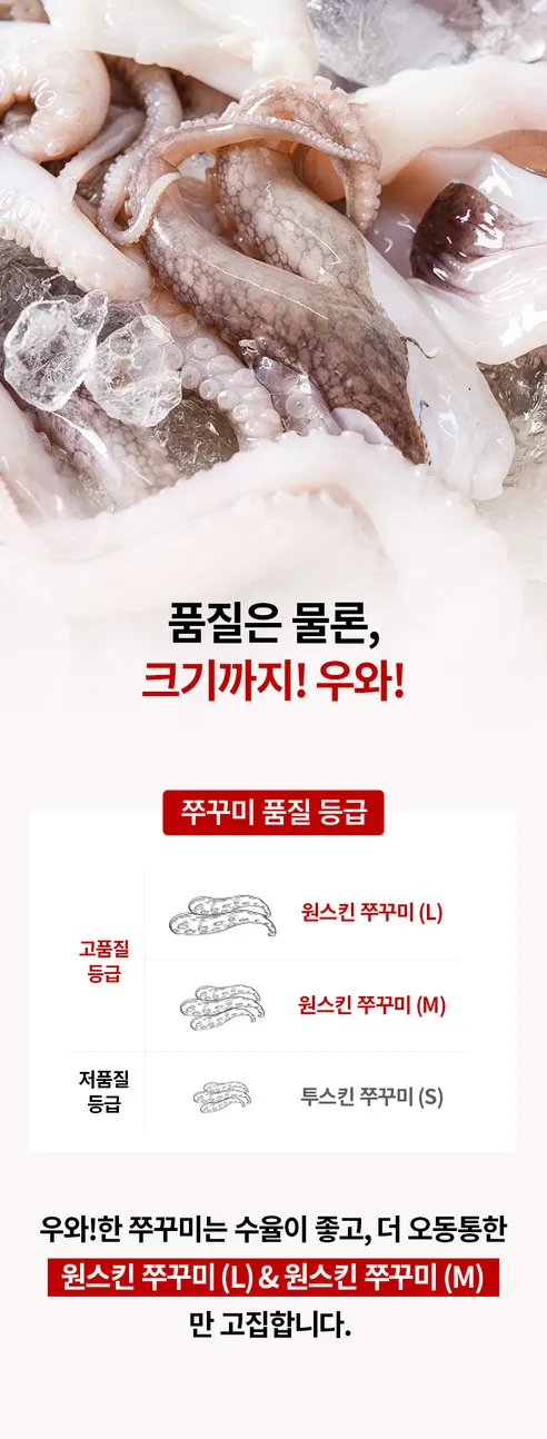 우와한 쭈꾸미볶음, 500g, 2개 상세 이미지 13