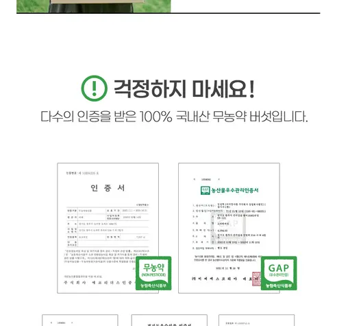 건담 모듬 버섯, 800g, 1개 상세 이미지 8