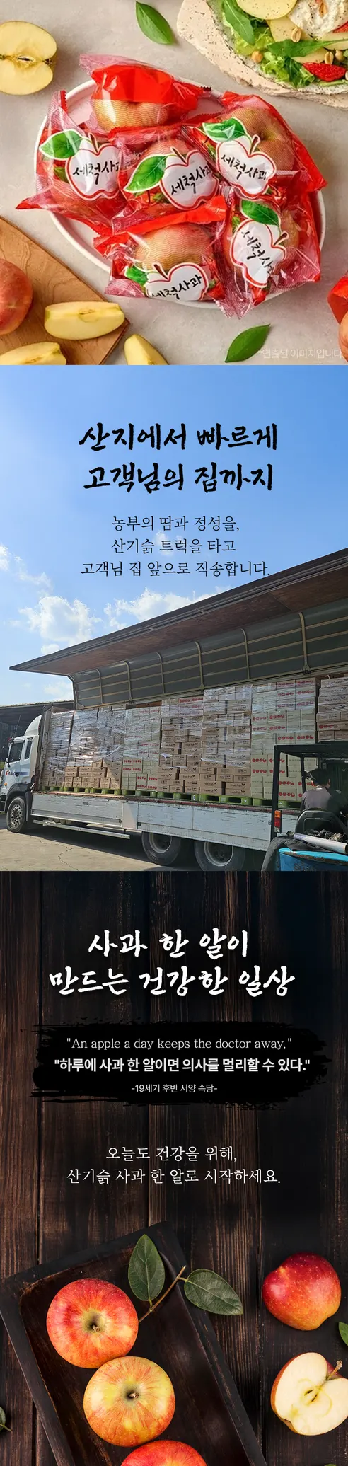 세척 사과, 한입과, 14과 내외, 2kg, 1박스 상세 이미지 7