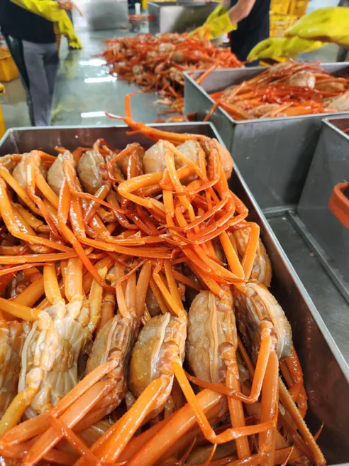 핵폭탄 홍게, 6kg, 1개 상세 이미지 14
