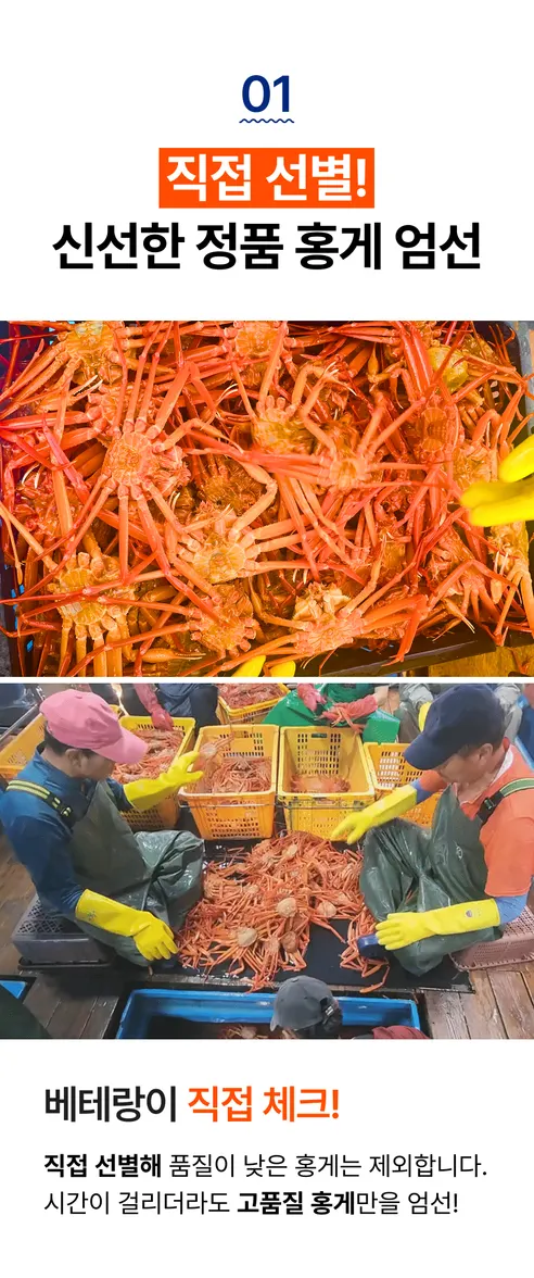 자숙 동해안 홍게, 3.5kg, 1개 상세 이미지 11