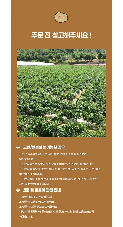 이모뜰 국내산 수미 햇감자, 대, 3kg, 1박스 상세 이미지 9