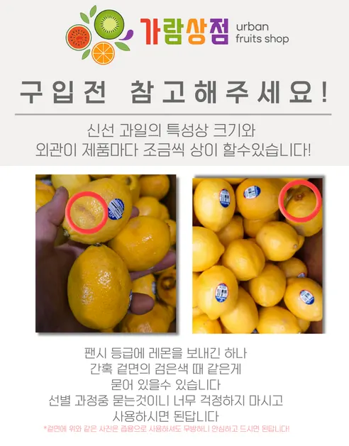 가람상점 팬시 레몬, 못난이 랜덤과, 3kg, 1개 상세 이미지 22