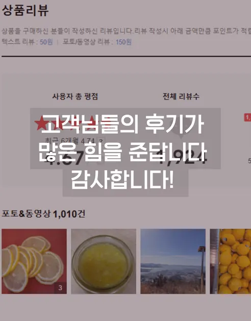 가람상점 팬시 레몬, 못난이 랜덤과, 3kg, 1개 상세 이미지 11