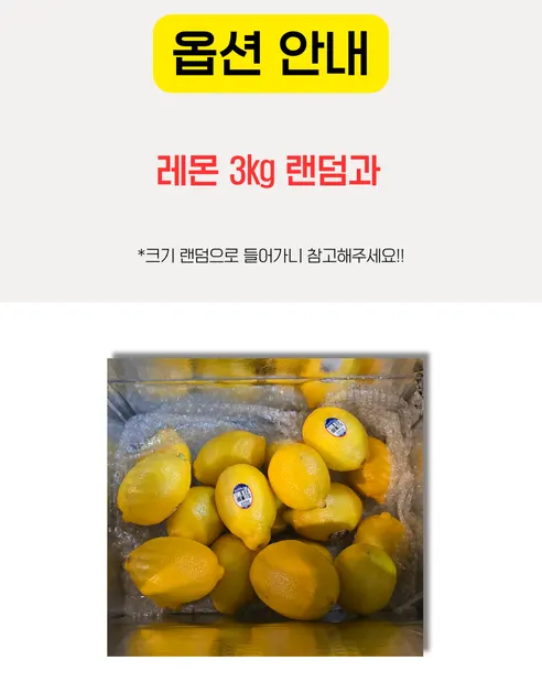 가람상점 팬시 레몬, 못난이 랜덤과, 3kg, 1개 상세 이미지 13