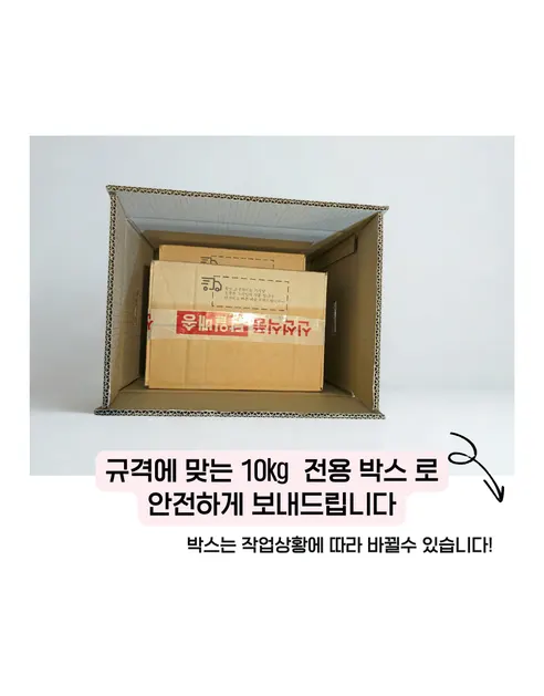 가람상점 팬시 레몬, 못난이 랜덤과, 3kg, 1개 상세 이미지 19