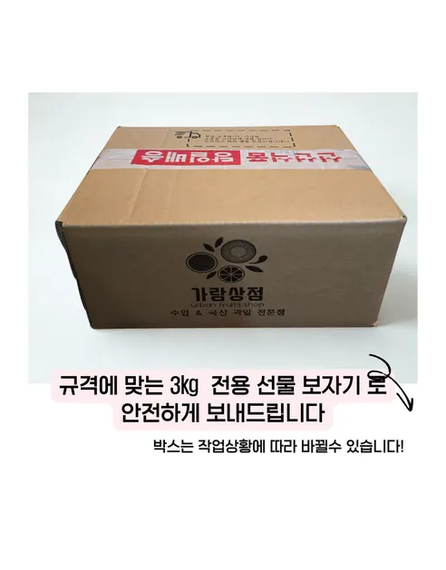 가람상점 팬시 레몬, 못난이 랜덤과, 3kg, 1개 상세 이미지 17