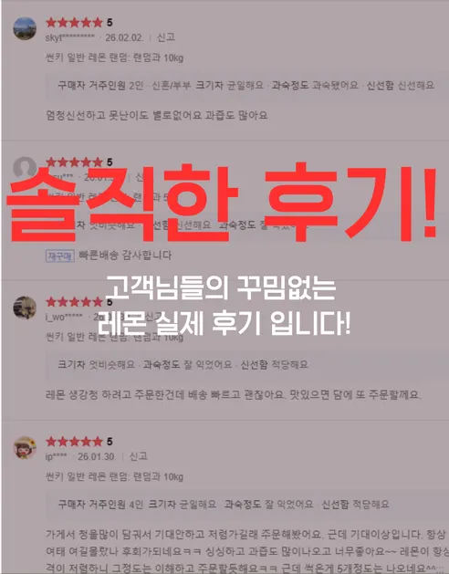 가람상점 팬시 레몬, 못난이 랜덤과, 3kg, 1개 상세 이미지 9