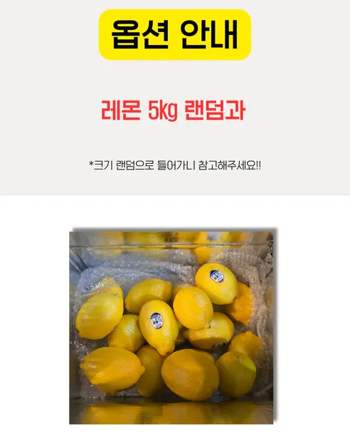 가람상점 팬시 레몬, 못난이 랜덤과, 3kg, 1개 상세 이미지 14