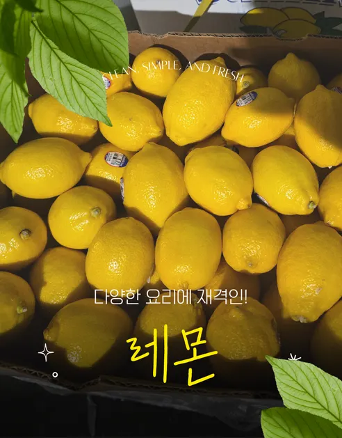 가람상점 팬시 레몬, 못난이 랜덤과, 3kg, 1개 상세 이미지 4