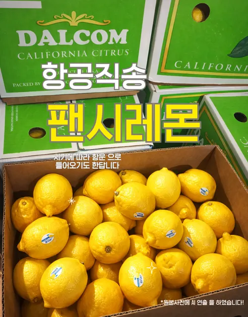 가람상점 팬시 레몬, 못난이 랜덤과, 3kg, 1개 상세 이미지 7