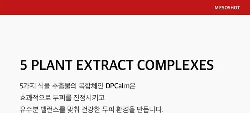 뷰티영 메조샷 두피 앰플, 60ml, 1개 상세 이미지 14