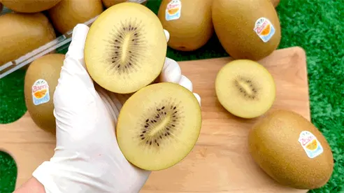 제스프리 썬 골드키위, 중과, 11과, 1kg, 1팩 상세 이미지 5