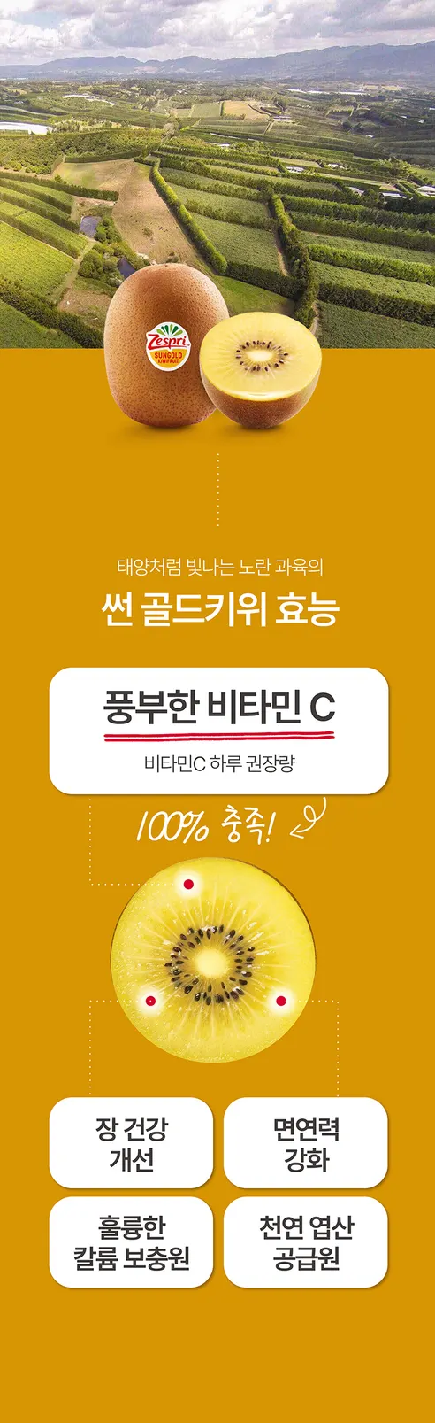 제스프리 썬 골드키위, 중과, 11과, 1kg, 1팩 상세 이미지 9
