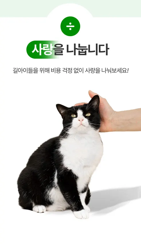 펠리코 브프캣 길고양이사료, 길냥이, 닭, 20kg, 1개 상세 이미지 6