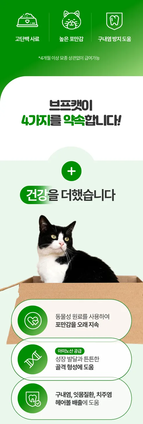 펠리코 브프캣 길고양이사료, 길냥이, 닭, 20kg, 1개 상세 이미지 3
