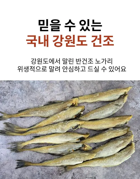 건어물명가 반건조 노가리, 500g, 1개 상세 이미지 5