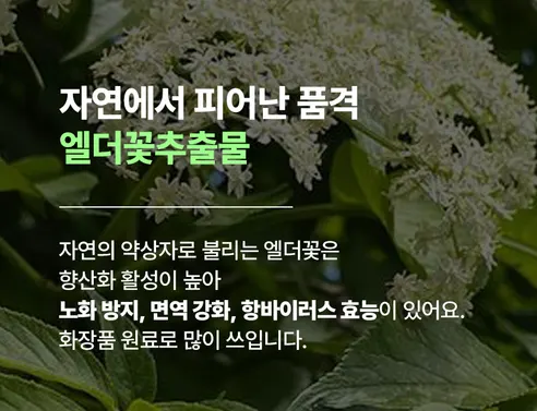 베베앙 시그니처 물티슈 캡형, 100매, 10팩 상세 이미지 5