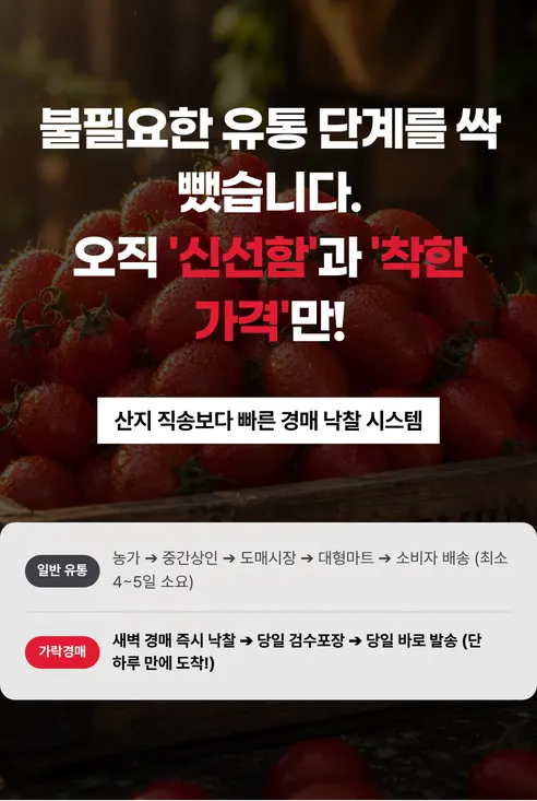 대추 방울토마토, 3kg, 1박스 상세 이미지 6