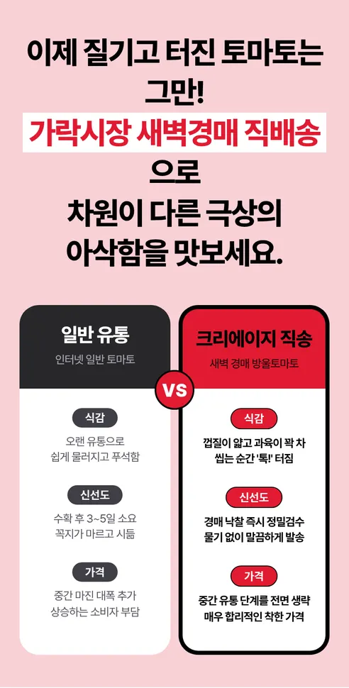 대추 방울토마토, 3kg, 1박스 상세 이미지 5