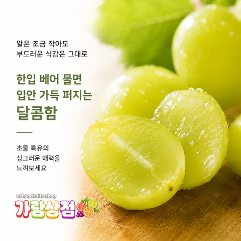 씨없는 포도 샤인머스켓, 랜덤과, 2kg, 1개 상세 이미지 5