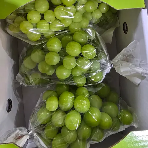 씨없는 포도 샤인머스켓, 랜덤과, 2kg, 1개 상세 이미지 9