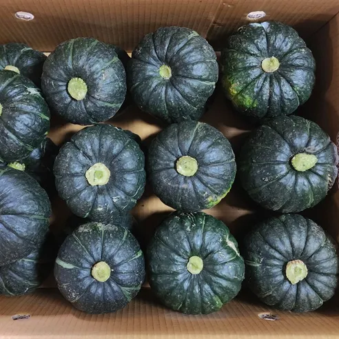 정다운농원 제주 미니 단호박 보우짱, 로얄과, 3kg, 1박스 상세 이미지 10