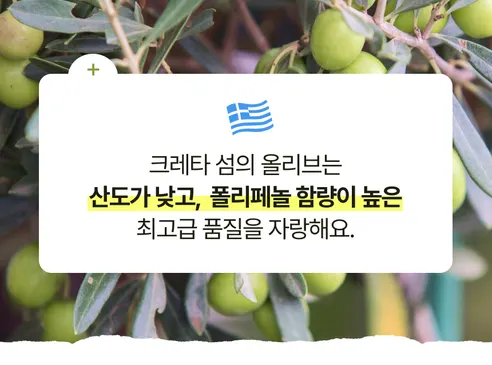 뚜띠프루티 우린 올리브 레몬이에오, 15ml, 14포, 1박스 상세 이미지 23