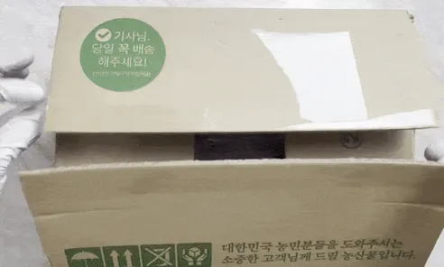 햇살식탁 추희자두, 2kg, 1개 상세 이미지 41